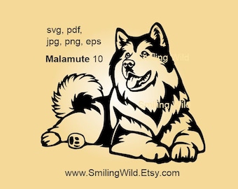 May include: Black and white silhouette of an Alaskan Malamute dog lying down. The dog is looking to the right with its tongue sticking out. The image includes the text "svg, pdf, jpg, png, eps Malamute 10" and "www.SmilingWild.Etsy.com".