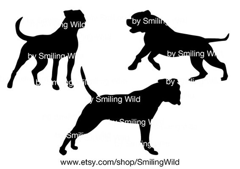 Free Free American Bulldog Svg Free 79 SVG PNG EPS DXF File