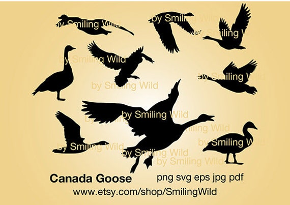 Canada Goose svg silhouette clipart vecteur art graphique oiseau