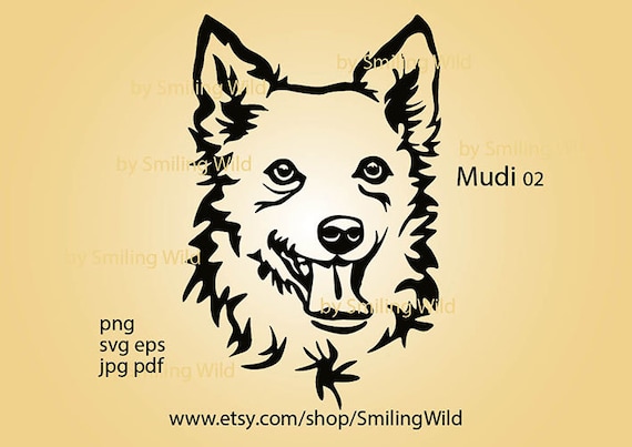 Mudi Shop