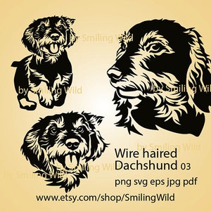 Drahthaar-Dackel svg schneidbare Vektorgrafik Porträt, Dackel Clipart Dackel Cricut Cut Datei digitales Design