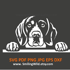 Schattige Beagle SVG PNG DXF Clipart – Peeking Dog - White Canine Vectorafbeelding voor snijden en graveren Design - Cricut, laser, directe download