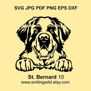Sint-bernard gluren SVG & PNG, DXF-portret – realistische hondenhond clipart - vectorafbeelding voor Cricut, lasersnijden, telefoonhoesje ontwerpen