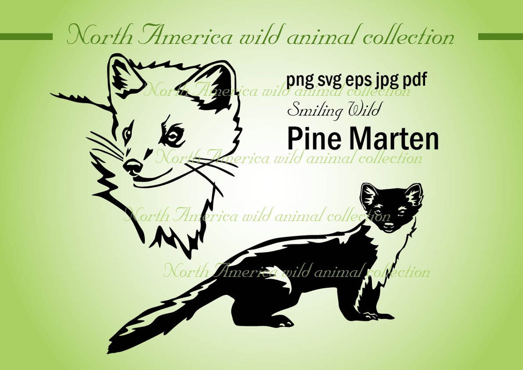Pine Marten Art Clipart Svg Cut File Pine Marten Vector Graphic Art ...