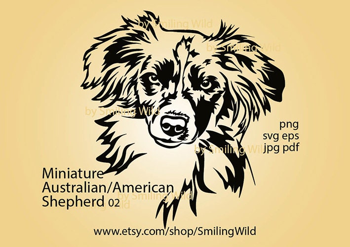 Download Miniature American Shepherd Dog svg clipart design cricut ...
