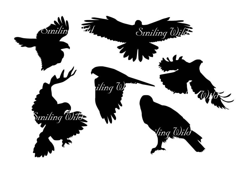 red tailed hawk silhouette red tailed hawk silhouette