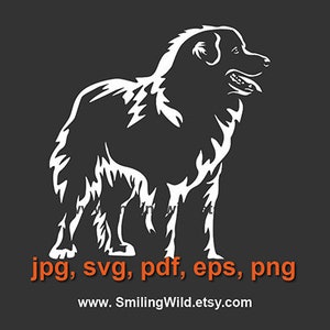 Pyrenäen Sennenhund Laser geschnitten Vektorgrafik-Datei Weißer Druck auf schwarzem Pyrenäen Sennenhund schneidbar Cricut digitales Design