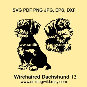 Ruwharige teckel Clipart SVG PNG DXF bundel - realistisch ontwerp teckel hond of logo - Canine vectorafbeelding, Cricut, lasersnijden