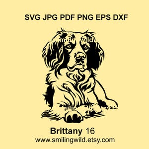 Bretagne spaniël SVG & PNG, DXF-clipart – Liggende realistische jachthond honden vectorafbeelding voor Cricut, lasersnijden - Instant Download