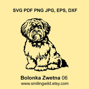Süßer Bolonka Zwetna Hund Clipart SVG PNG DXF - Realistischer Hund für Logo-Design - Canine Vektorgrafik, Basteln, Cricut, Laserschnitt