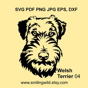 Welsh Terrier Dog gezicht SVG PNG DXF - realistische hond voor logo clipart ontwerp - Canine vectorgraphic, DIY crafts, Cricut, lasersnijden