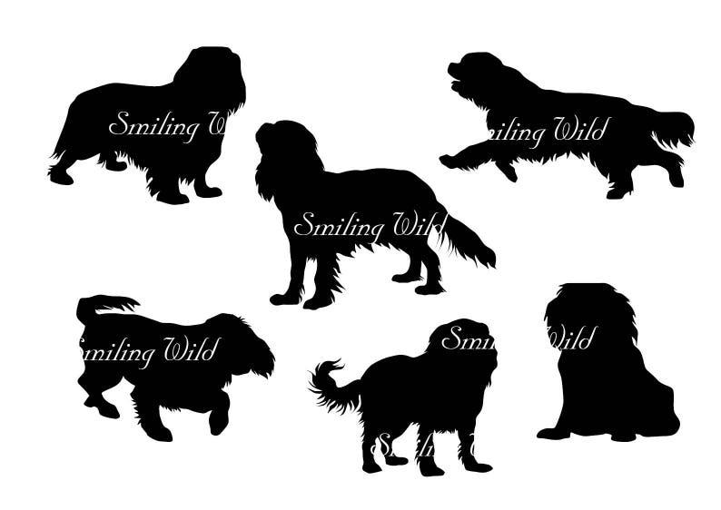 Download Cavalier King Charles Spaniel svg silhouette clipart ...