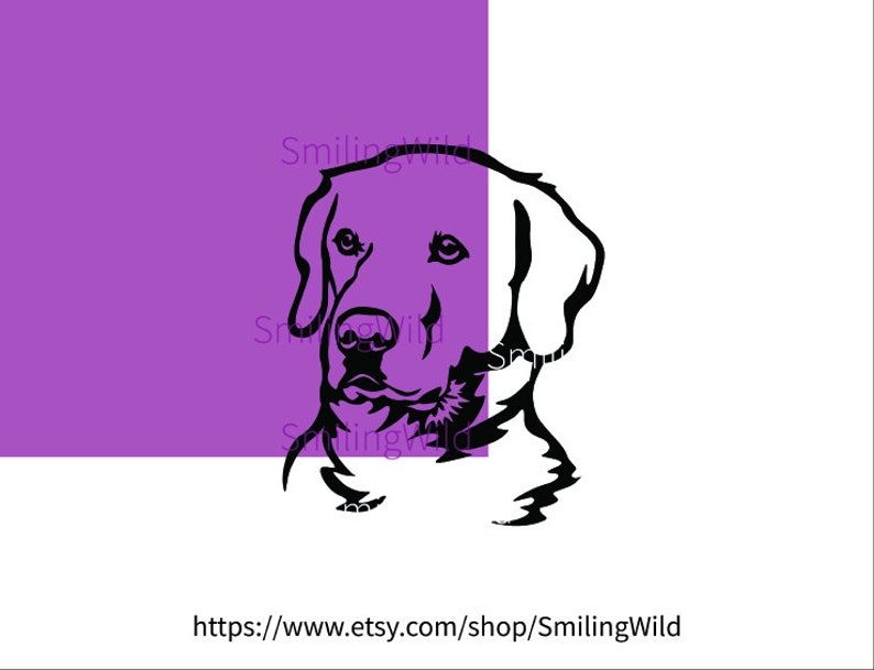 Labrador Retriever Portrait Head Svg Smiling Dog Clipart Cut - Etsy