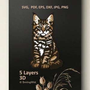 Chat en couches - Maine Coon SVG pour relief bois 3D, fichier découpé au laser chaton, modèle d'art mural Cricut