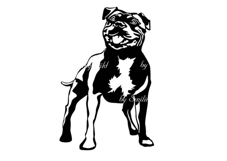 Free Free 207 Staffordshire Bull Terrier Svg SVG PNG EPS DXF File