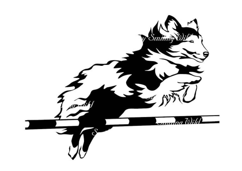 Download Sheltie agility svg clipart sheltie dog vector graphic art | Etsy