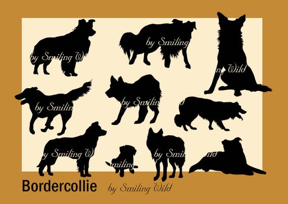 Download Border Collie svg border colly silhouette cliart Puppy ...