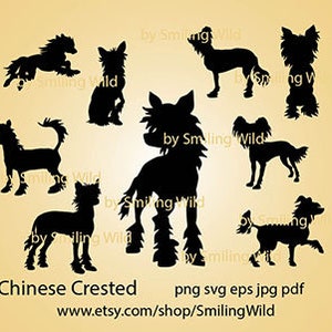 Chinese naakthond SVG en PNG silhouet clipart bundel, hond vector grafische kunst, Cricut gesneden bestand, digitaal ontwerp