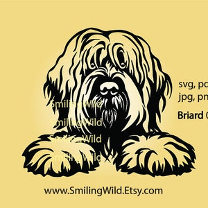 Gluren briard svg liegen hond vector grafische kunst briard gesneden bestand Graveerbare hond kunst briard cricut digitaal ontwerp