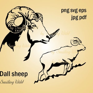 pecora Dall svg clipart pecora dalle corna sottili vettore grafico arte ritratto di pecora di pietra arte stampabile png eps disegno di opere d'arte digitale