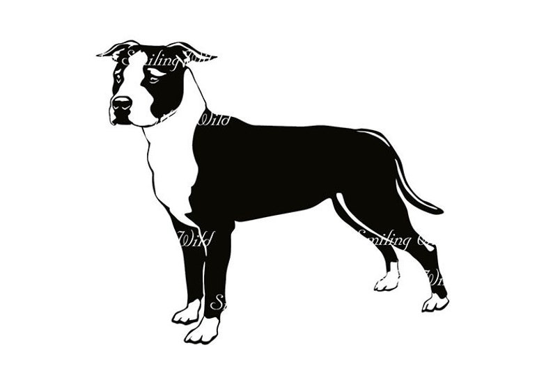 Free Free American Staffordshire Terrier Svg 256 SVG PNG EPS DXF File