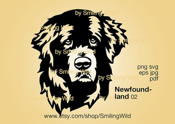 Download Newfoundland Dog Svg Cricut Portrait Vector Graphic Art Etsy