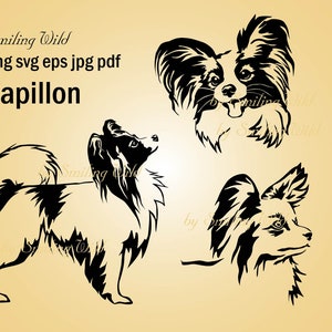 Perro papillon espiando svg y png clipart png vector gráfico papillon perro arte diseño digital recorte recortable obra de arte papillon collage