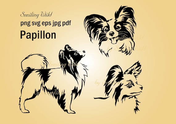 Papillon Peeking Dog Svg Clipart Png Vector Graphic Papillon Etsy