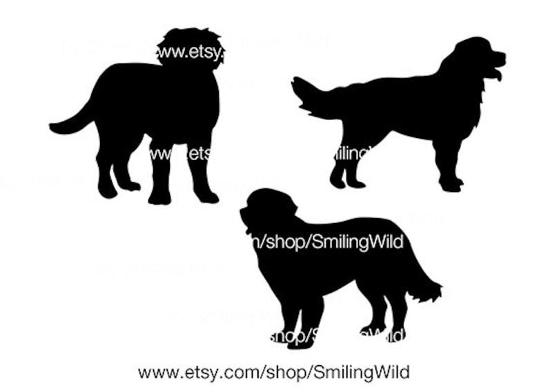 Free Free 219 Bernese Mountain Dog Svg Free SVG PNG EPS DXF File