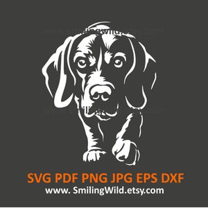 Beagle SVG-, PNG-, DXF-vectorbestanden | realistische jachthond witte hoektanden clipart voor Cricut, SIlhouette en lasersnijden Diy Crafts