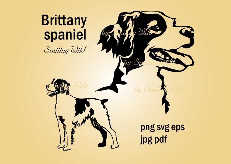 Épagneul breton svg chien clipart vectoriel art graphique épagneul breton portrait oeuvre coupe fichier couper imprimable dessin numérique png image 1