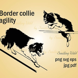 Bordercollie hond behendigheid svg & png bundel clipart - vector grafische kunst hondentraining - ontwerp digitale Graveerbare uitsparing lasergesneden