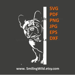 Franse Bulldog gluren om de hoek SVG & PNG, DXF – hond witte hoek clipart-vectorafbeelding – lasersnijden, Cricut, Instant Download