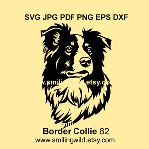Schattig portret border collie SVG en PNG, DXF-clipart – realistische hond vectorgrafisch ontwerp voor de Cricut, lasersnijden - Instant Download