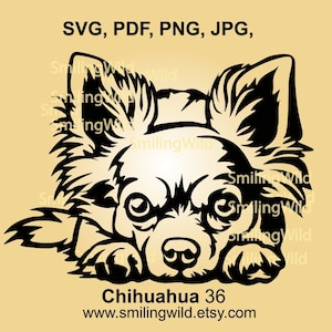 Chihuahua Hund svg niedlicher Hund Vektorgrafik langhaar Chihuahua Laserschnittdatei schneidbare Cricut
