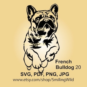 May include: Black and white silhouette of a French Bulldog standing on its hind legs with its front paws raised. The dog is looking directly at the viewer. The text "French Bulldog 20" is below the image, and the text "SVG, PDF, PNG, JPG" is below that. The text "www.etsy.com/shop/SmilingWild" is at the bottom of the image.