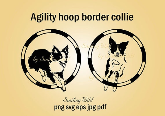 Hund Sport Clipart Agilitat Reifen Border Collie Svg Hund Etsy