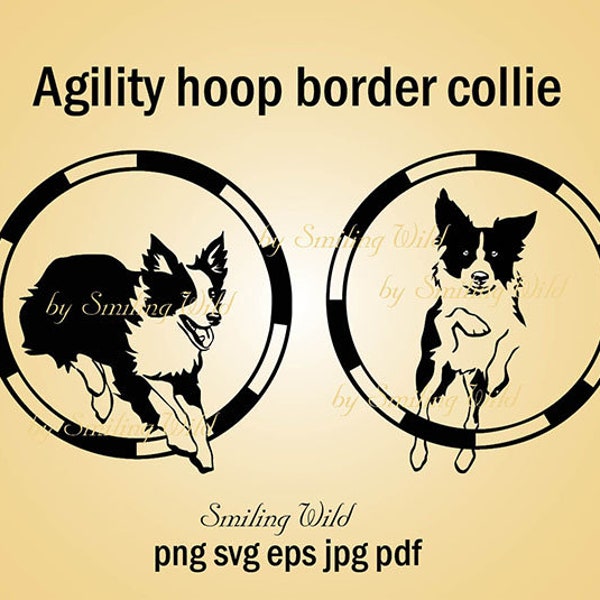 Hund Sport Clipart Agility Hoop Border Collie svg Hund Vektor Grafik druckbare Border Collie png schneidbare Ausschnitt sofortiger download