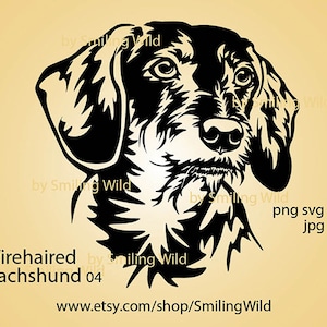 Ruwharige teckel hoofd SVG & PNG clipart gesneden bestand teckel hoofd vector grafische kunst hond Graveerbare illustraties teckel cricut ontwerp