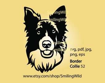 Border Collie dog svg face vector clip art, Border collie illustration cuttable digital design