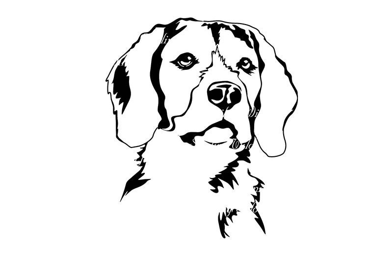 Beagle svg clipart art digital design png beagle silhouette | Etsy