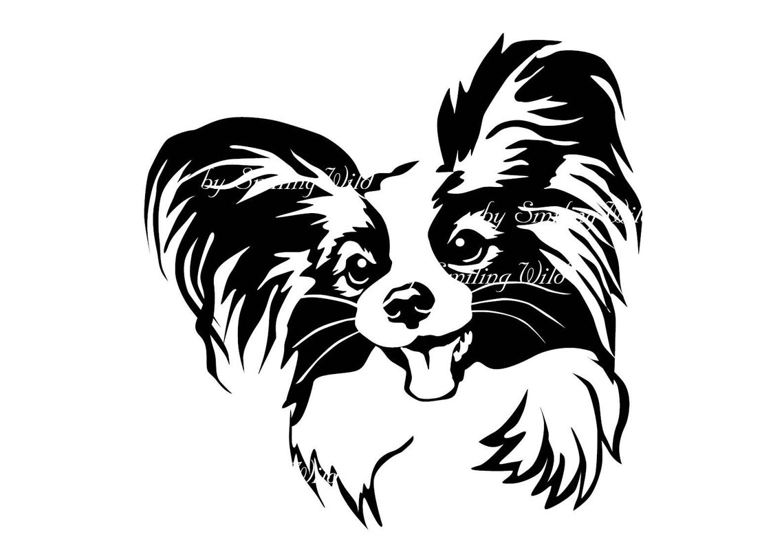 Papillon Peeking Dog Svg Clipart Png Vector Graphic Papillon Etsy