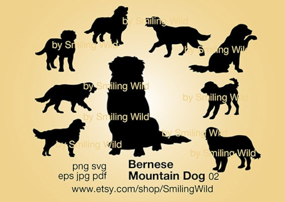 Download Bernese Mountain Dog Silhouette Svg Cricut Cut File Walking Etsy PSD Mockup Templates