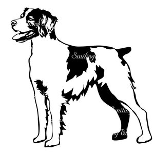 Épagneul breton svg chien clipart vectoriel art graphique épagneul breton portrait oeuvre coupe fichier couper imprimable dessin numérique png image 2