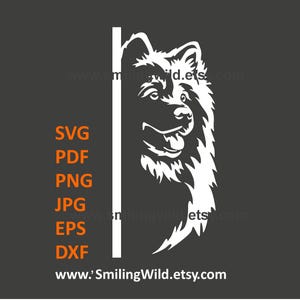 Samojeed SVG-, PNG-, DXF-bestanden – hond gluurt om de hoek witte clipart-vectorafbeelding, lasersnijden, Cricut, Instant Download