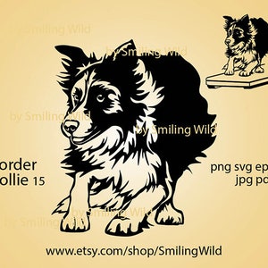 Border Collie Svg Running Dog Agility Vector Graphic Art Dog - Etsy