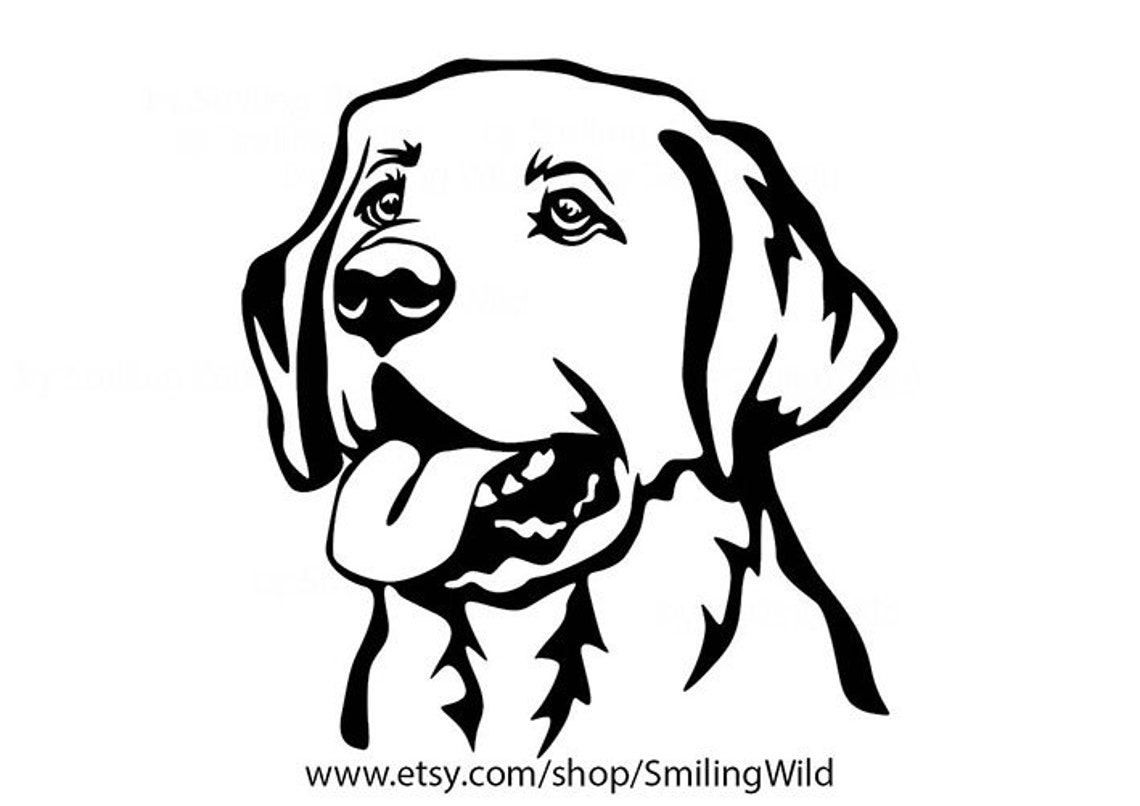 Labrador Retriever Svg Clipart Portrait Dog Vector Art LAB Cut Etsy