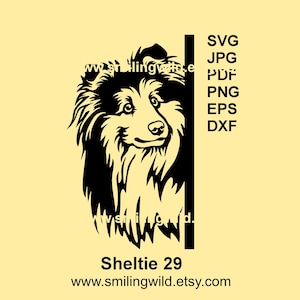Sheltiehond gluren om de hoek SVG & PNG-, DXF-vectorclipartbestand – telefoonhoes, kunst muurstickerontwerp - hond instant download