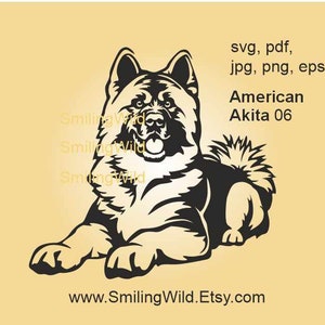 Cane Akita americano sdraiato svg file di taglio tagliabile grafica vettoriale Akita opera d'arte testa ritratto design digitale