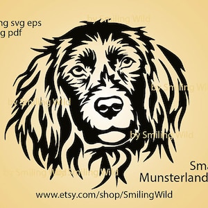 Kleine Munsterlander SVG vector hoofd jachthond clipart gesneden bestand Munsterlander Graveerbare cricut grafische logo commercieel gebruik